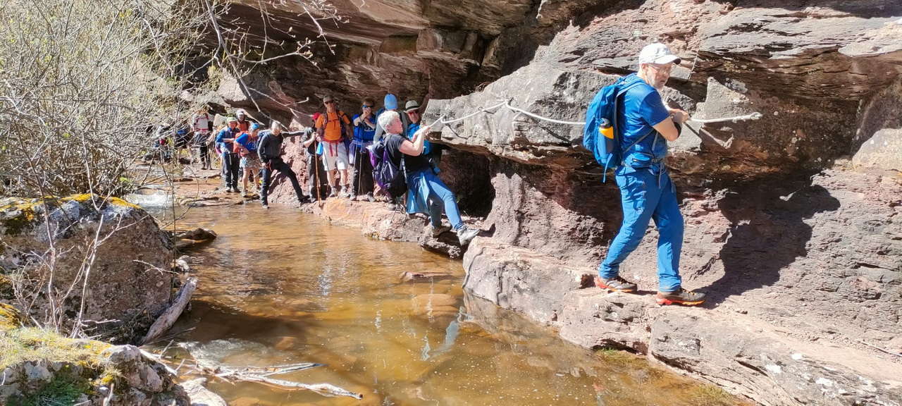 WhatsApp Image 2026-04-08 at 07.40.56 (8)